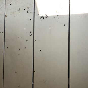 Extra Space Storage - Mouse droppings - Self Storage Near Me - Florence, Kentucky