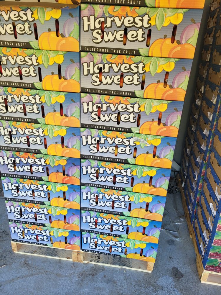 HGM Community Development - social services organization in Mansfield, LA