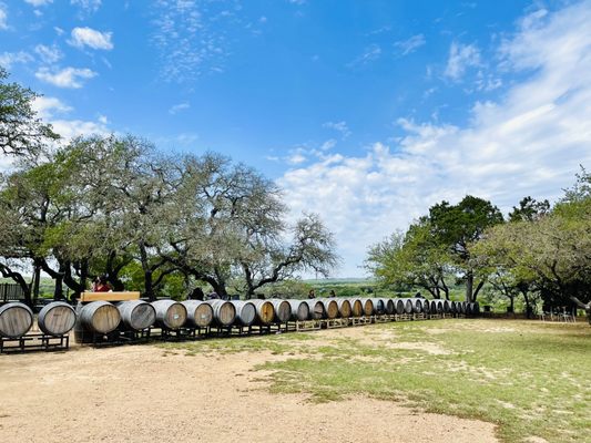 Driftwood Estate Winery by null