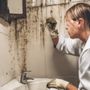 Alameda Mold Guys