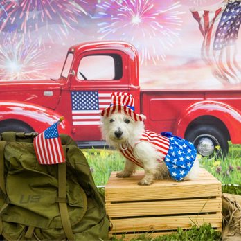 Pea Ridge Kennels - Pet Breeders Near Me - Mansfield, Missouri Pea Ridge Kennels - Pet Breeders Near Me - Mansfield, Missouri