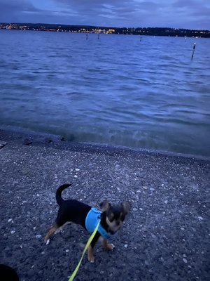 Madison Park by null