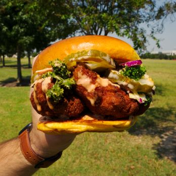 Chronic Fries - a hand holding a sandwich in a park - Chicken Shop Near Me - Richmond, Texas Chronic Fries - a hand holding a sandwich in a park - Chicken Shop Near Me - Richmond, Texas