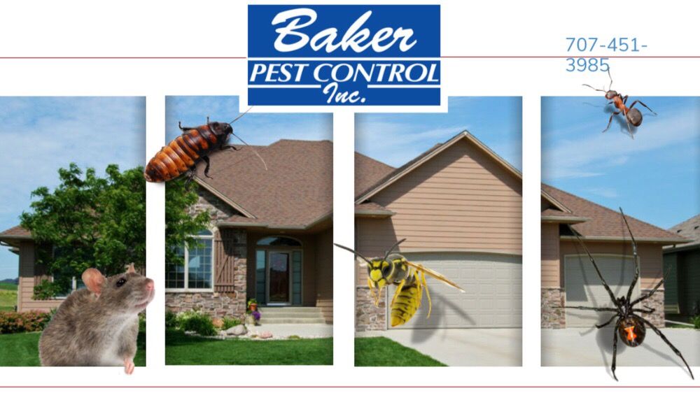 BAKER PEST CONTROL Updated September 2024 17 Reviews Vacaville
