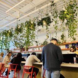 Barista Parlor - Hillsboro Village - Plant mom vibes inside