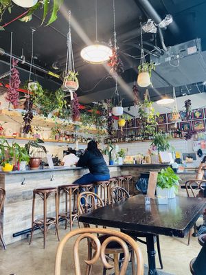 Mae Mae Café & Plant Shop by null