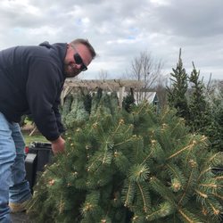 Spruce Grove Tree Farm - Loading up...