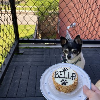 Three Dog Bakery - Rice Village - Pet Stores Near Me - Houston, Texas Three Dog Bakery - Rice Village - Pet Stores Near Me - Houston, Texas