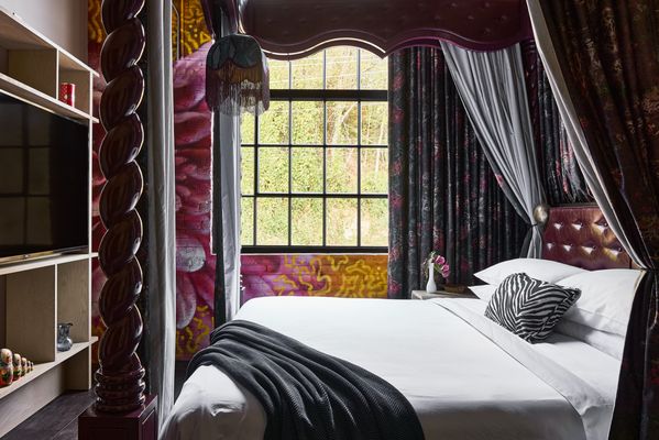 The Radical Asheville, Tapestry Collection by Hilton by null