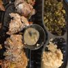 Roasters gift card