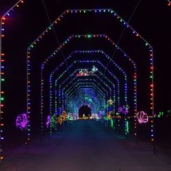 Nights of Shimmering Lights - Underwater tunnel