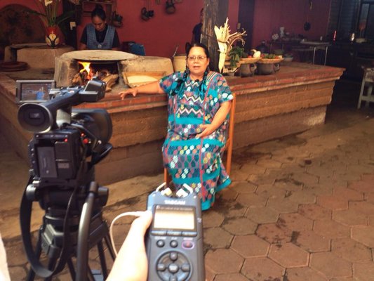 Mi Tierra Linda by null