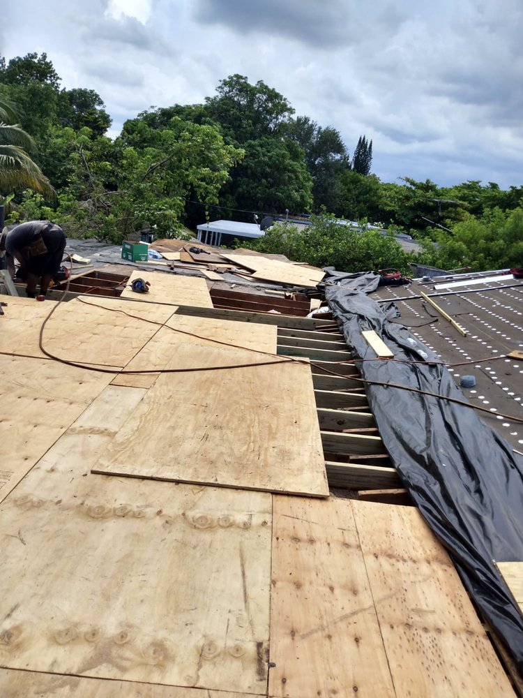 Slide of Tree Of The World Roofing