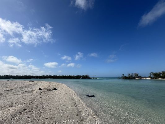Happy Paddler Kayak Tours & Rentals - Lido Key Ted Sperling Park by null