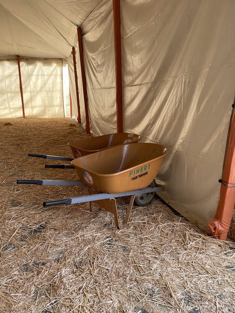 PUMPKIN STATION Updated November 2024 131 Photos & 49 Reviews