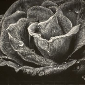 Stratford Studio - Art Classes Near Me