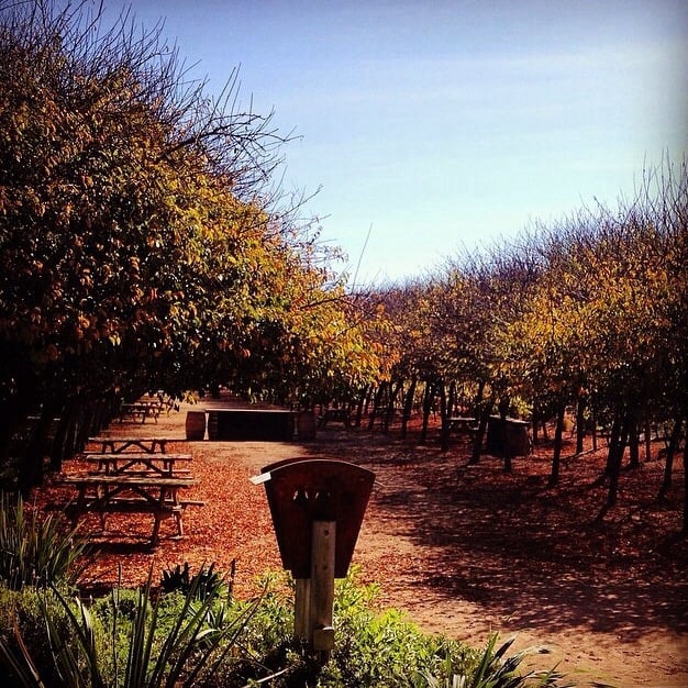 HOUSE OF MORANDÉ CASA DE VINO Updated August 2024 Ruta 68 km 61