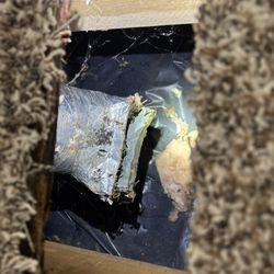 Safety 1st Home Inspection
