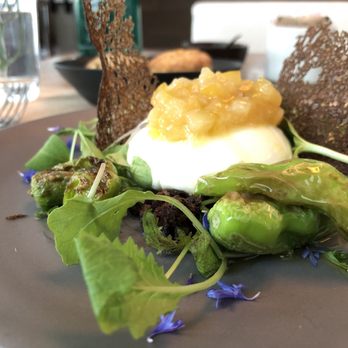 Perry St - House Made Burrata - shishito peppers, lemon jam (on top), sitting on a black olive base. A perfect display of summer flavors. (7/15/2018) - New American Near Me - New York, New York Perry St - House Made Burrata - shishito peppers, lemon jam (on top), sitting on a black olive base. A perfect display of summer flavors. (7/15/2018) - New American Near Me - New York, New York