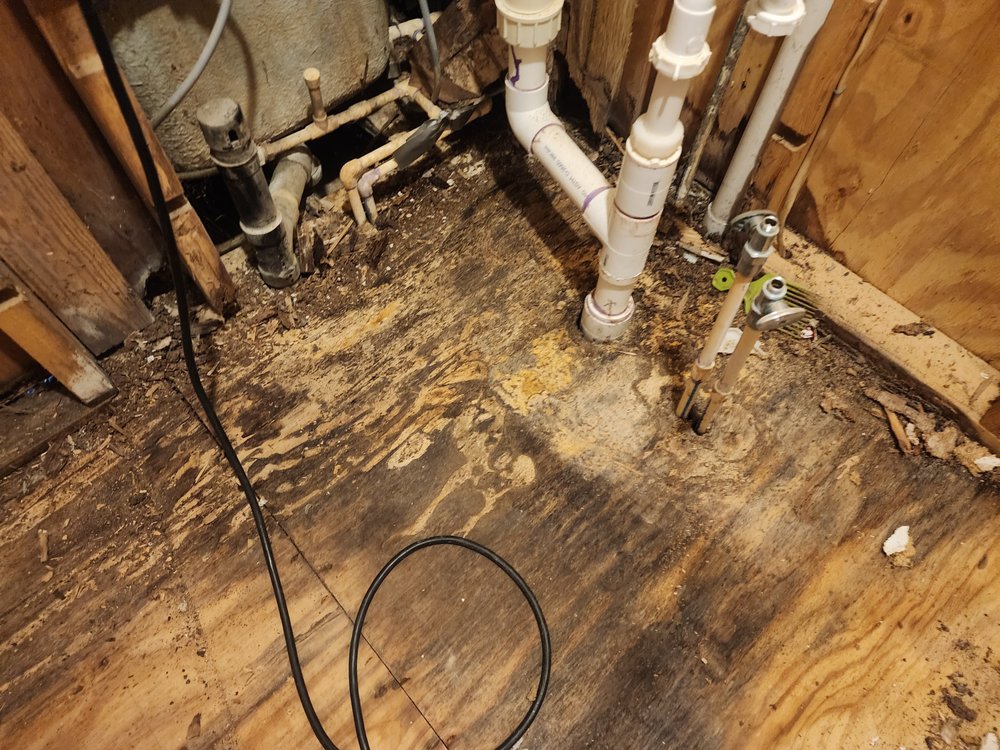 Slide of Smoky Mountain Restoration