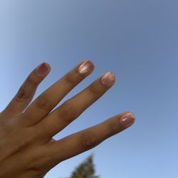 Monstera Nails - Cat eye gel