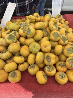 The Sebastopol Farmers' Market by null