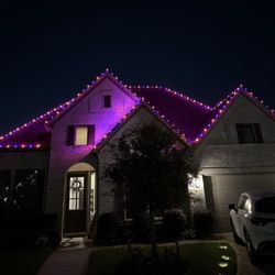 Starry Lights - Deer Park Installation