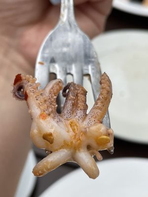 2051 Cucina Italiana by null