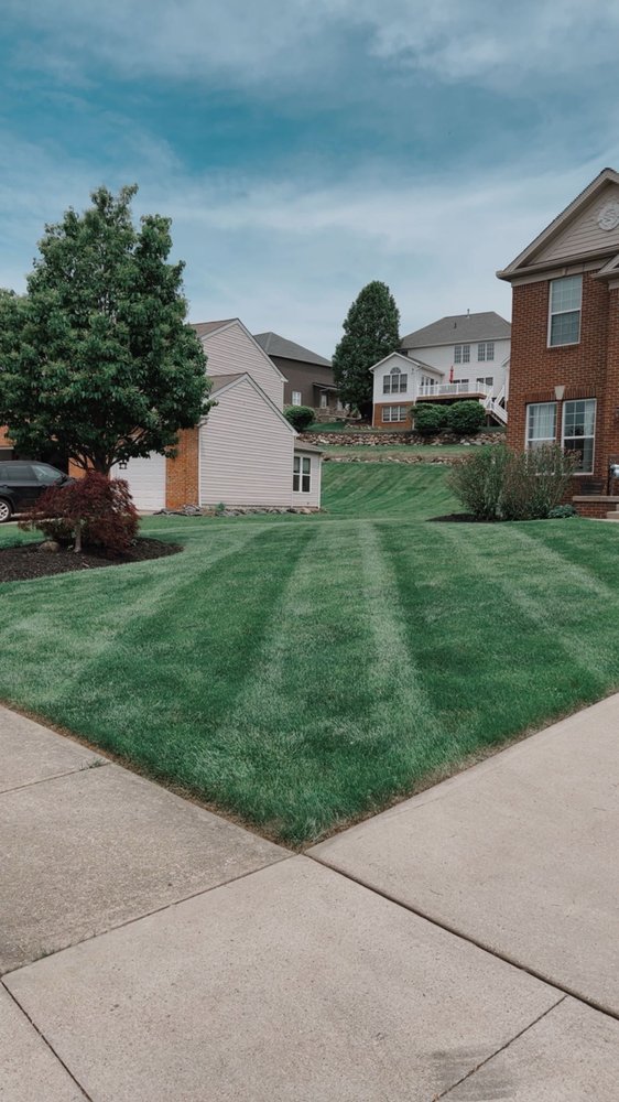 Tactical Stripes Lawn Care - veterans service organization in Akron, OH