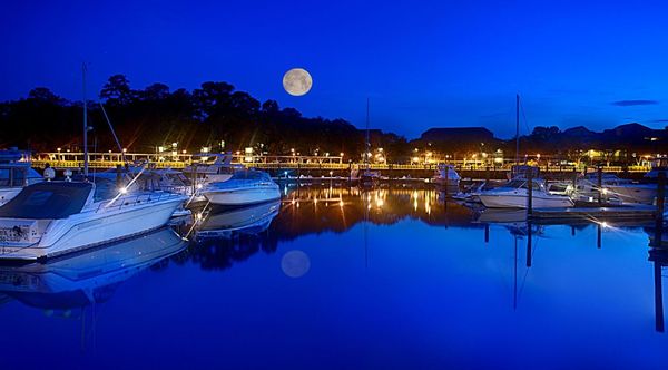 Disney’s Hilton Head Island Resort by null