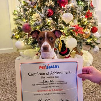 PetSmart - Her diploma! - Pet Stores Near Me - Chantilly, Virginia