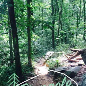 Pinnacle Mountain State Park - Parks Near Me - Roland, Arkansas Pinnacle Mountain State Park - Parks Near Me - Roland, Arkansas