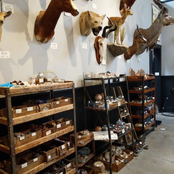 Paxton Gate - Jewelry Near Me - Portland, Oregon