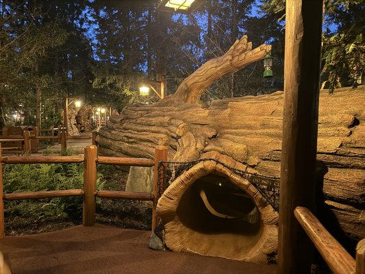 Redwood Creek Challenge Trail by null