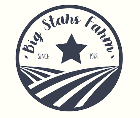 Big Stars Farm by null
