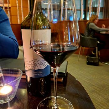 Options Jazz Lounge - The Malbec bottle was a great choice... but unfortunately, it came chilled...? - Lounges Near Me - Kanata, Ontario