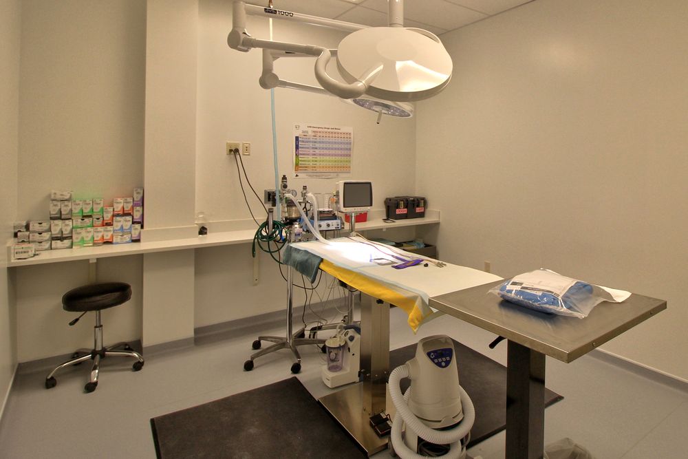 Animal Medical Center of Seattle