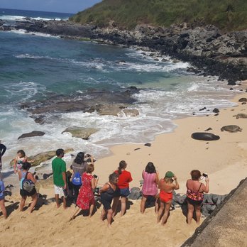 Hookipa Beach Park - Viewing turtles behind rock wall - Parks Near Me - Paia, Hawaii