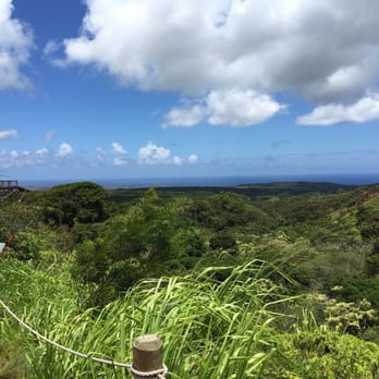 Shaka Zipline - Ziplining Near Me - Koloa, Hawaii Shaka Zipline - Ziplining Near Me - Koloa, Hawaii