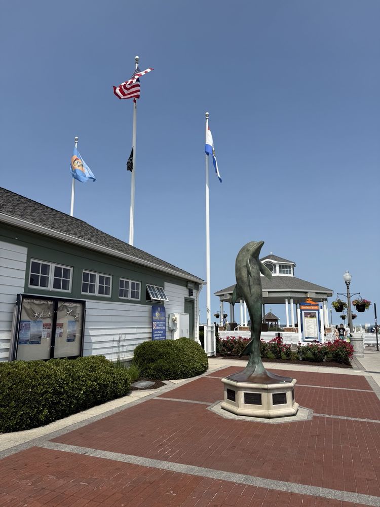 Rehoboth Beach Logo