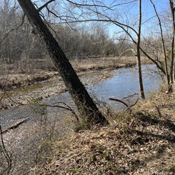 Saline Creek RV Park & Campground