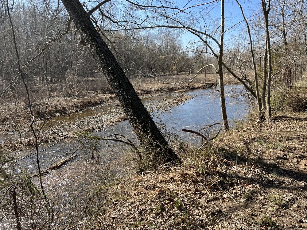 SALINE CREEK RV PARK & CAMPGROUND Updated May 2024 35 Photos 4997