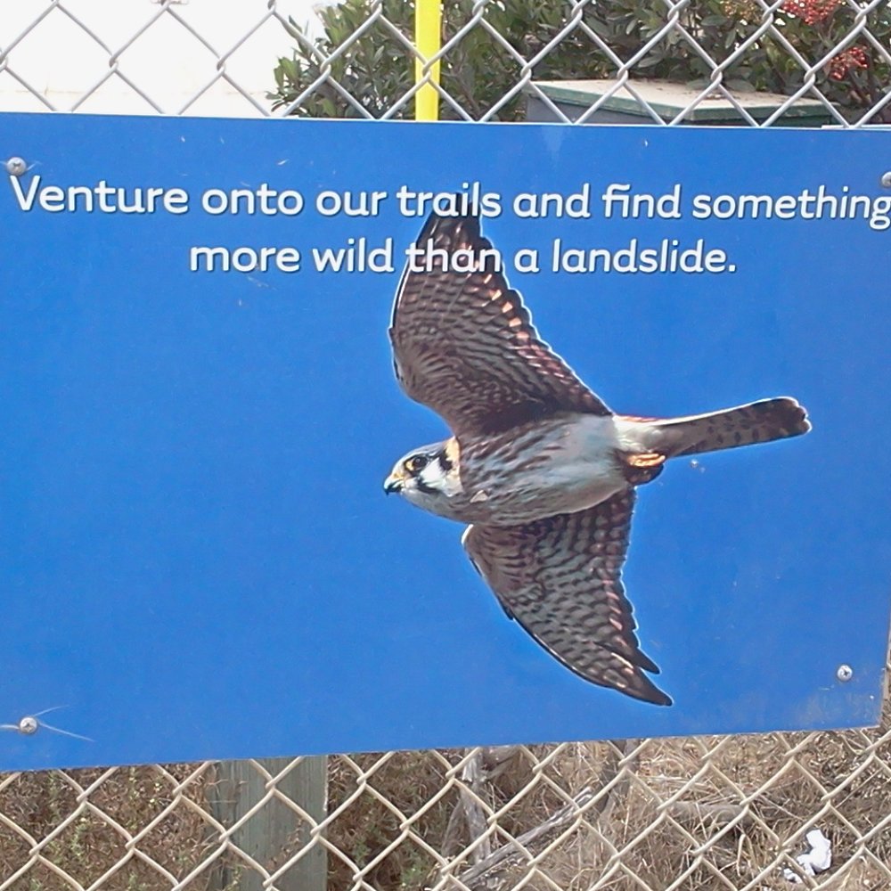 White Point Nature Preserve - Parks Near Me - San Pedro, California