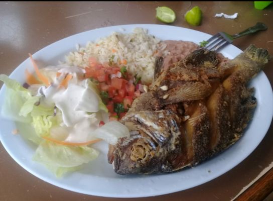 Los Panchos by null