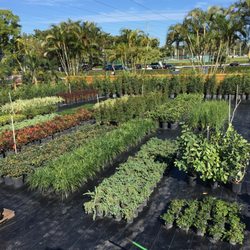 Mar-Pines Nursery