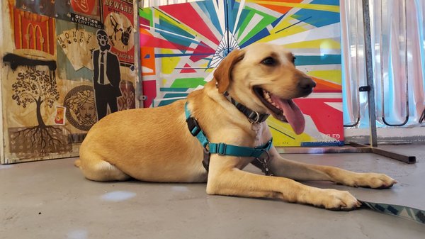 Recycled Propaganda by null