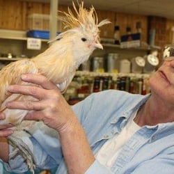 Burns Feed Store - Fran's Feathered Friends