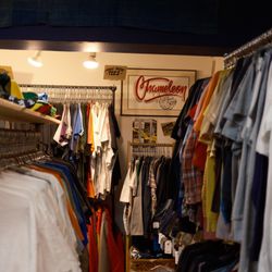 Chameleon Vintage