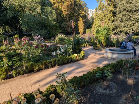 Real Jardín Botánico by null