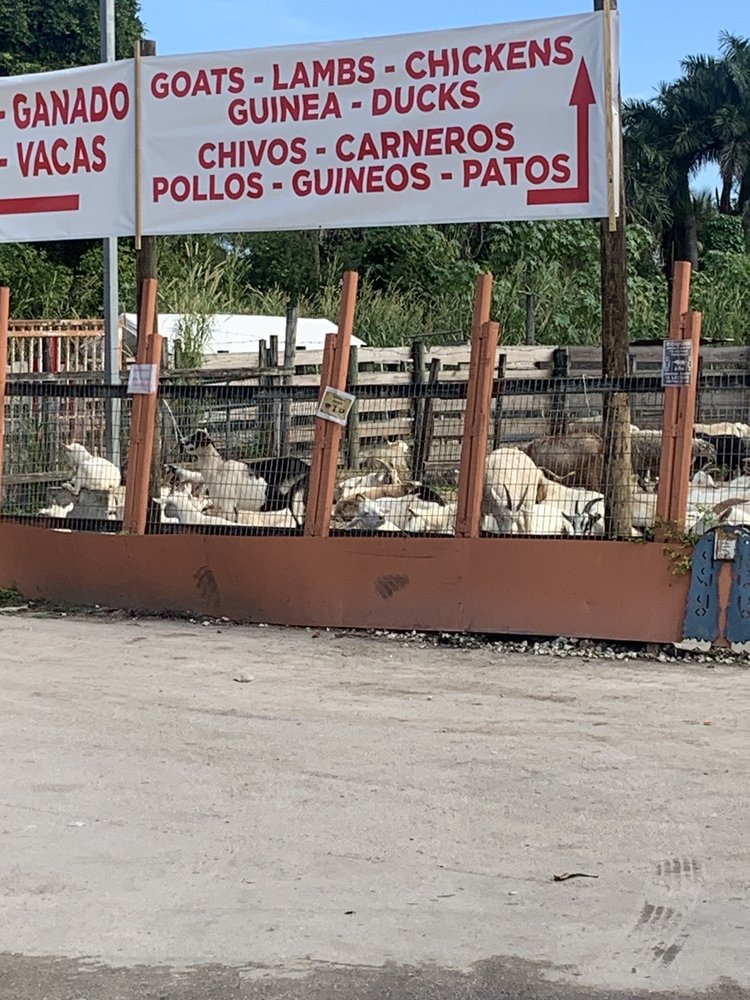 MATADERO CABRERA MARY’S RANCH Updated November 2024 12 Photos